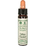 Ainsworths White Chestnut Flower Essence Relaxing Drops 10ml: цены и характеристики
