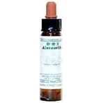 Ainsworths White Chestnut Flower Essence Relaxing Drops 10ml: цены и характеристики