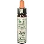 Ainsworths Cherry Plum Flower Essence Relaxing Drops 10ml: цены и характеристики