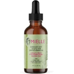 Mielle Organics Розмариново-мятное масло для волос против секущихся кончиков 59 мл: цены и характеристики