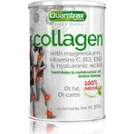 Quamtrax Nutrition Коллаген с гиалуроновой кислотой 300 гр натуральный - Натуральный: цены и характеристики