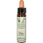 Ainsworths Pine Flower Essence Drops 10ml: цены и характеристики