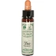 Ainsworths Pine Flower Essence Drops 10ml