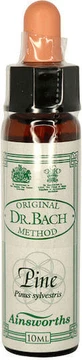 Ainsworths Pine Flower Essence Drops 10ml
