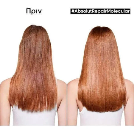 L'Oréal Professionnel Expert Series Абсолют Відновлення Молекулярний лосьйон для волосся 190 мл: ціни та характеристики