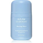 Дезодорант-рулон Haan Morning Glory без вмісту алюмінію 40 мл: ціни та характеристики
