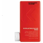 Kevin Murphy Everlasting Colour Rinse Кондиционер для поддержания цвета окрашенных волос 250 мл: цены и характеристики