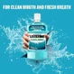 Ополіскувач для порожнини рота Listerine Прохолодна м'ята