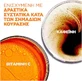 L'Oreal Paris Men Expert Hydra Energetic Мужской гель для глаз против усталости и морщин с витамином C 10 мл
