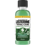 Ополаскиватель для рта Listerine Total Care: цены и характеристики