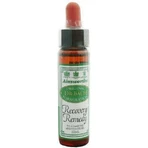 Ainsworths Recovery Remedy Квіткова есенція краплі 10мл: ціни та характеристики