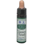 Ainsworths Recovery Remedy Квіткова есенція краплі 10мл: ціни та характеристики