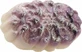 Fresh Line Shrinked Phaedra Body Soap Bar 145gr