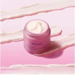 Caudalie Resveratrol-Lift Антивозрастной и тонизирующий ночной укрепляющий крем с гиалуроновой кислотой и коллагеном 50 мл: цены и характеристики