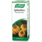 Краплі A.Vogel Spilanthes 50мл