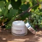 Caudalie Vinoperfect Увлажняющий, устраняющий пигментацию и отбеливающий ночной крем для лица с пантенолом 50 мл
