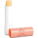 Weleda Бальзам для губ SPF4 4гр: цены и характеристики