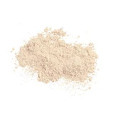 Colorescience Bwho Bwho Sunforgettable Sunforgettable Total Protection Brush-On Shield Бесцветный водозащитный антитинктурный щит для тела SPF30 6гр