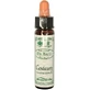 Ainsworths Centaury Flower Essence Drops 10ml