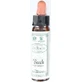 Ainsworths Beech Flower Essence Drops 10ml