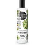 Зволожуючий кондиціонер для сухого волосся Natura Siberica Organic Shop 280 мл: ціни та характеристики
