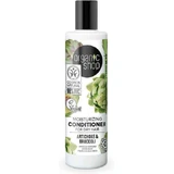 Зволожуючий кондиціонер для сухого волосся Natura Siberica Organic Shop 280 мл