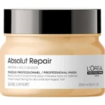 L'Oréal Professionnel Serie Expert Absolut Repair Зміцнююча маска для волосся 250 мл: ціни та характеристики