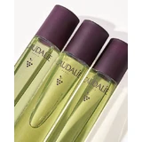 Caudalie Vinosculpt Зміцнююча олія для тіла Контурний концентрат для тіла 75 мл