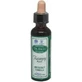 Ainsworths Recovery Plus Flower Essence Drops 20ml