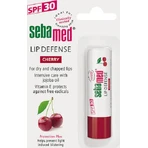 Себамед Защита SPF30 Вишневый бальзам для губ SPF30 4,8гр: цены и характеристики