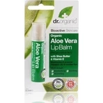 Dr.Organic Бальзам для губ SPF15 5,7гр: цены и характеристики