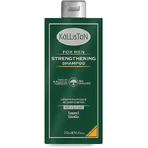 Kalliston For Men Укрепляющий шампунь от выпадения волос для чувствительной кожи головы для всех типов волос 250 мл: цены и характеристики