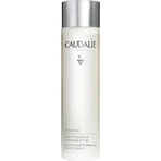 Caudalie Vinoperfect Антивікова есенція для обличчя 100 мл: ціни та характеристики