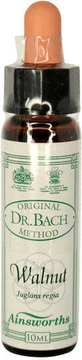 Ainsworths Walnut Flower Essence Drops 10ml