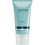 System Professional Derma Purify Shampeeling P4 Лосьйон для волосся проти лупи 150 мл: ціни та характеристики