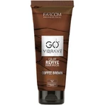 Farcom Professional Go Vibrant Vibrant Colour Revive Hair Mask Coffee Brown 200 мл: цены и характеристики