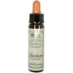 Ainsworths Hornbeam Flower Essence Drops 10ml: цены и характеристики