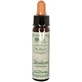 Ainsworths Hornbeam Flower Essence Drops 10ml