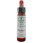 Ainsworths Hornbeam Flower Essence Drops 10ml: цены и характеристики