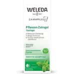 Weleda Dental Care Зубна паста на рослинній основі від зубного нальоту та карієсу 75мл: ціни та характеристики