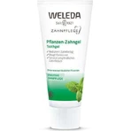 Weleda Dental Care Зубна паста на рослинній основі від зубного нальоту та карієсу 75мл: ціни та характеристики