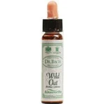 Ainsworths Wild Oat Flower Essence Drops 10ml: цены и характеристики