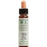 Ainsworths Wild Oat Flower Essence Drops 10ml