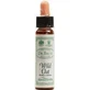 Ainsworths Wild Oat Flower Essence Drops 10ml
