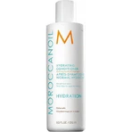 Moroccanoil Hydration Увлажняющий кондиционер для всех типов волос 250 мл: цены и характеристики