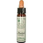 Ainsworths Mustard Flower Essence Drops 10ml: цены и характеристики