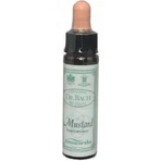 Ainsworths Mustard Flower Essence Drops 10ml: цены и характеристики