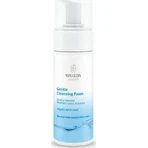 Weleda Нежная очищающая пенка для лица 150 мл: цены и характеристики