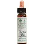 Ainsworths Chestnut Bud Flower Essence Drops 10ml: цены и характеристики