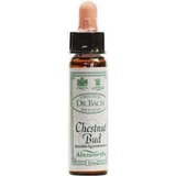 Ainsworths Chestnut Bud Flower Essence Drops 10ml